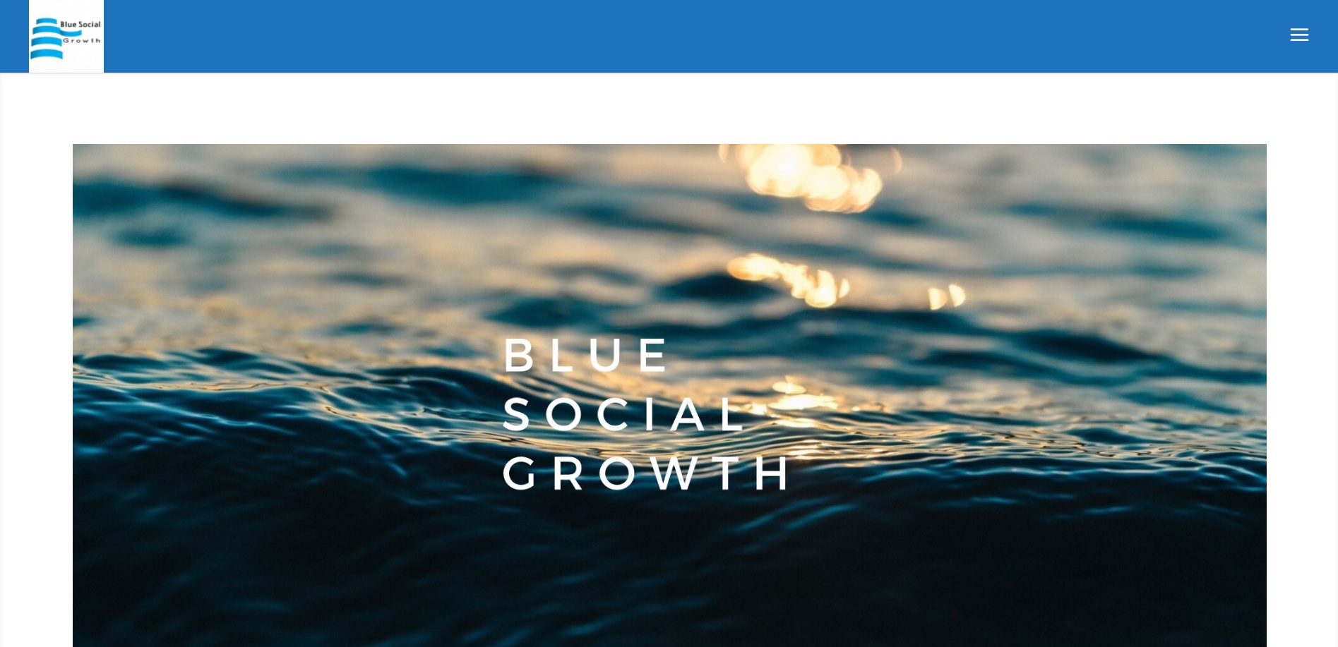 BLUE SOCIAL GROWTH